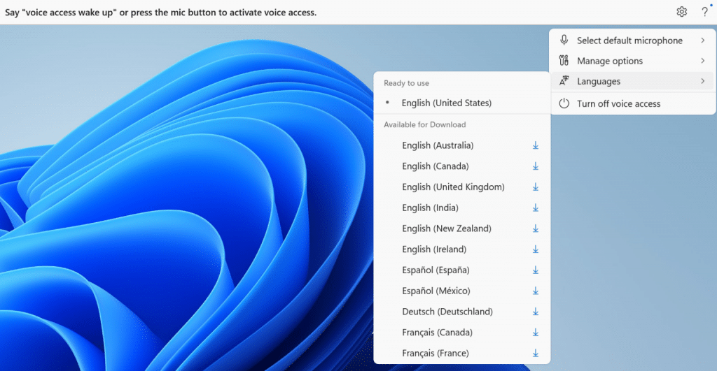 Voice access app Moment 5 opdatering Windows 11